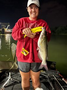 Photograph of a white catfish caught in KY during a fishing, cruises, tours, and water_sports adventure