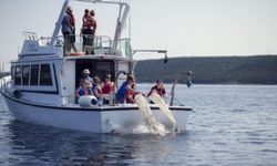 Group of 8 people enjoying a fishing tour in Halifax