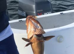 Halifax fishing, tours, and water sports adventure