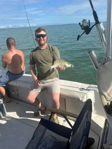 Solid mangrove snapper catch