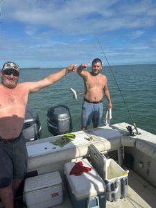 Fresh inshore catch with croaker and catfish