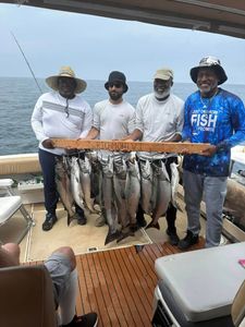 3 great fishing catches in South Bristol