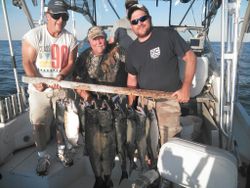 4 large fish caught in South Bristol