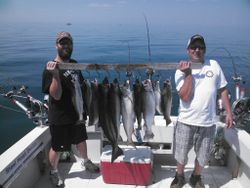 Five Bluefish caught on a fishing trip in NY
