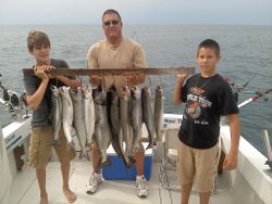 Catch of 4 bluefish measuring 18 inches in NY