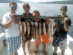 9 bluefish, fishing in South Bristol