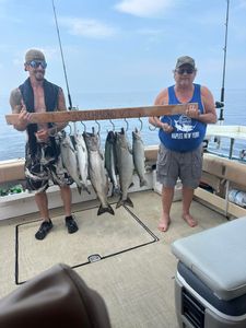 Four Chinook salmon caught while fishing in South Bristol