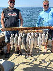 Coho salmon fishing in NY