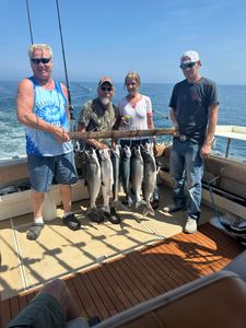Two coho salmon, 15 inches long, caught while fishing in South Bristol