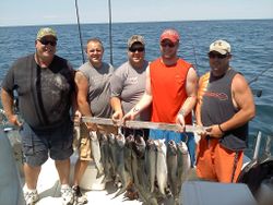 4 fish caught during a fishing trip in NY