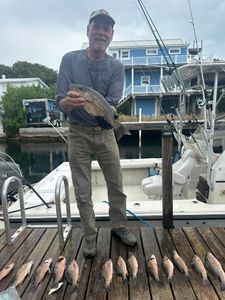 Two small fish caught in South Bristol