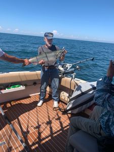 A pink salmon, 23 inches long, caught while fishing in NY