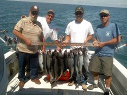 4 great catches of fishing in South Bristol