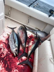 The thrill of angling in Belmar with Captain Chris