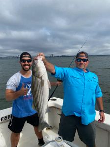 Striped bass caught in NJ