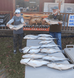 10 striped bass caught fishing in SC