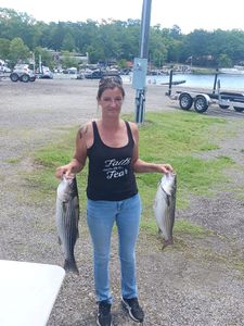 Lake Murray Fishing Striped Bass Trophy