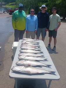 Striped Bass fishing in Lake Murray