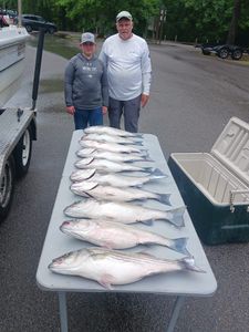 Striped Bass Trophy in Lake Murray Fishing Trips