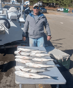 Single angler fishing in SC