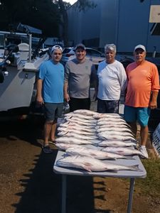 Four people enjoying a fishing trip in Lexington