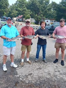 4 Wiper and striped bass caught in Lexington