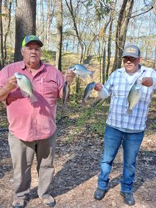 Crappie and Largemouth Bass caught in Lexington