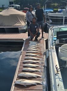 3 people fishing for 4 fish in Lexington