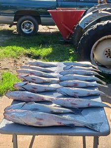 Two fish caught while fishing in SC