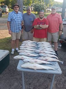4 people fishing in Lexington