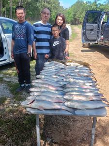Fishing with friends in Lexington, 2 big fish caught