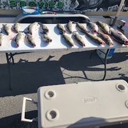 Fishing at Lexington
