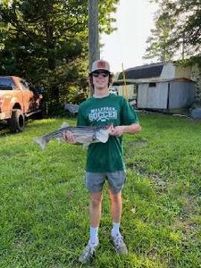 A person fishing in SC