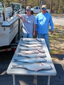 4 big fish caught while fishing in Lexington