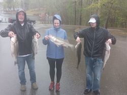 4 striped bass caught in SC