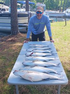 Three big freshwater fish caught by angler in SC