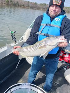 Striped bass caught while fishing in SC