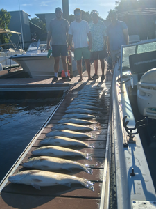 Mastering the art of light tackle trolling on a picture-perfect day at Lake Murray!