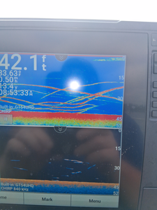 Clear skies and light tackle trolling make for a perfect day at Lake Murray!