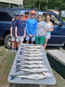 A group of 6 people fishing in Lexington