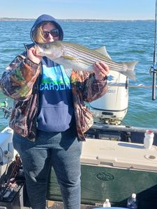 Striped bass caught in Lexington