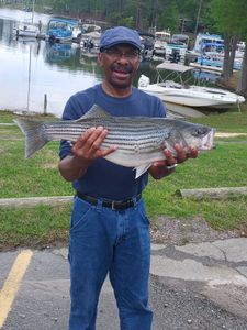 Angler holding a striped bass in Lexington
