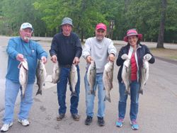 8 striped bass caught while fishing in SC