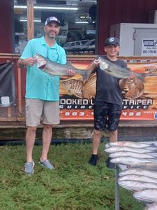 Two striped bass, fishing at Lexington