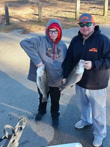 Two striped bass caught while fishing in Lexington