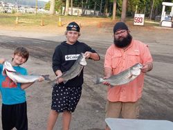 Three striped bass caught during fishing trip in Lexington