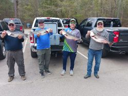 4 striped bass caught while fishing in Lexington