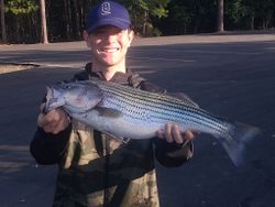 Striped bass caught while fishing in Lexington