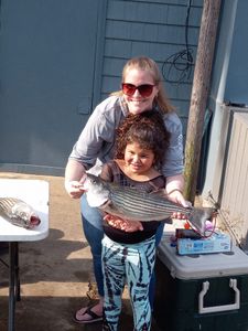 Striped bass caught while fishing in SC