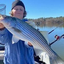 Striped bass caught fishing in SC